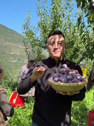 又脆又甜的汇奉源蜜脆李,口感脆甜,太好吃了。#优质农产品 #新鲜采摘 #李子#汇奉源蜜脆李