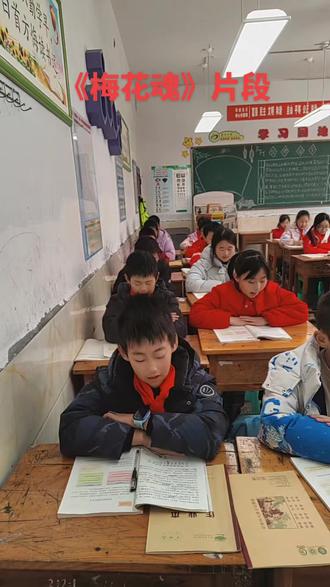 梅花的精神和灵魂,你触碰了吗?你传承了吗?你发扬了吗?作为中国人。