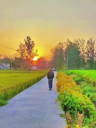 喜欢这种感觉,家乡的清晨,一层薄雾伴随着泥土的芬芳和稻谷的清香,日出,鸟鸣,炊烟,还有勤劳的乡亲,一切都是那么的亲切,祥和,宁静……#乡愁记忆 #农村生活 #清晨的阳光 #故乡的原风景 。