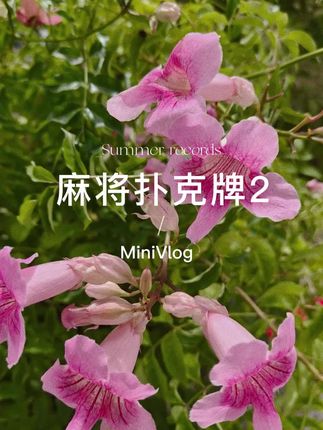 夸孩子也是一门学问要用对方式,不然只能适得其反。#亲子教育 #育儿 #家庭教育 #父母课堂 #干货分享