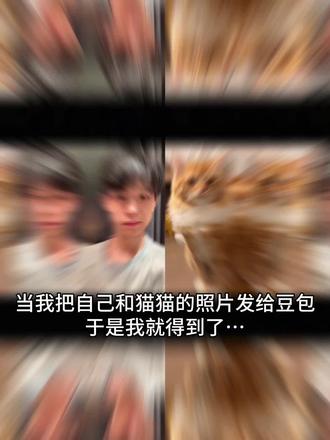 好有爱好喜欢,与猫咪相拥合照ai指令 教程来啦!#豆包p图指令宠物合照指令 ai生成自己和宠物的合照#和宠物合 合照教程来啦!和自家萌宠合照!#豆包P图指令#和宠物合照#豆包ai