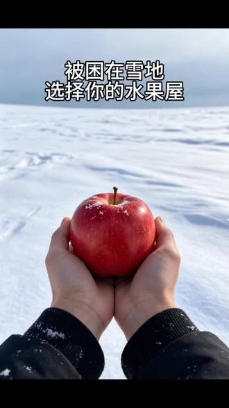 大雪纷飞,被困在雪地,有几个简易的水果屋,你的选择是?
#AI生成视频 #治愈 #解压 #水果屋 #AI创作