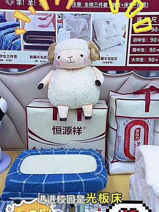 学生宿舍六件套拎包入住纯棉三件套床垫被子大学床上用品#学生宿舍 #开学必备清单 #好物推荐🔥