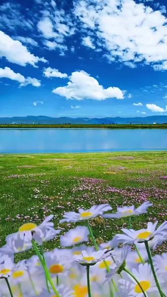 但是我们要知道,
水至清则无鱼
人太清则无福;
是非善恶分得太清楚了,
就没有福报。
是非看清楚之后,
必须要能包容,
如果不厚道,
变得愤世嫉俗,
这也算是一种毛病。
—— 南怀瑾先生#传统文化#苦非苦#一切的发生都是最好的安排 #福报#因果