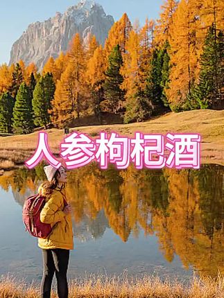 #人参枸杞酒 #枸杞酒 #人参枸杞