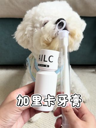幼犬换牙期结束就可以开始刷牙,每周2-3次就可以#小狗刷牙 #加里卡益生菌牙膏 #狗狗牙膏 #宠物牙膏 #萌宠好物