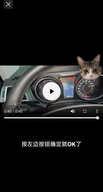 猎豹CS10保养复位方法