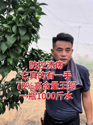防控溃疡,它有一手,需要的来吧