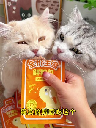 恋猫恋狗主食餐包终于有活动啦!#猫饭#萌宠好物#猫咪主食餐包#科学喂养#养猫经验分享
