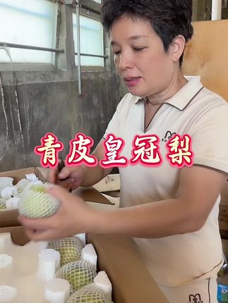 秋天是吃梨的季节,砀山青皮皇冠梨脆甜多汁太好吃了#优质农产品 #新鲜采摘 #强烈推荐 #源头好货