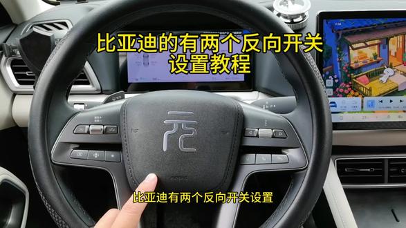 比亚迪有两个反向开关车友们注意了#元up #新能源 #比亚迪 #每天一个用车知识 #上热门 @DOU+小助手