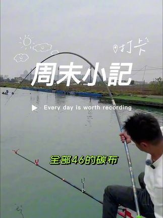 二百出头的大物竿真没想到这么好用! #大物竿 #青鱼草鱼鲢鳙翘嘴 #钓巨物 #爱生活爱钓鱼 #标坑无铅巨物