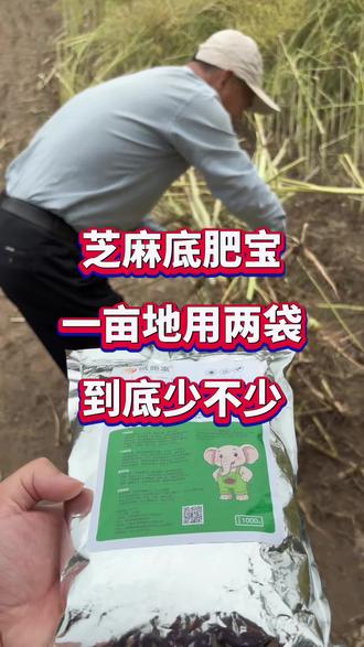 芝麻底肥宝一亩地两千克少不少#芝麻高产 #芝麻底肥 #芝麻种植技术