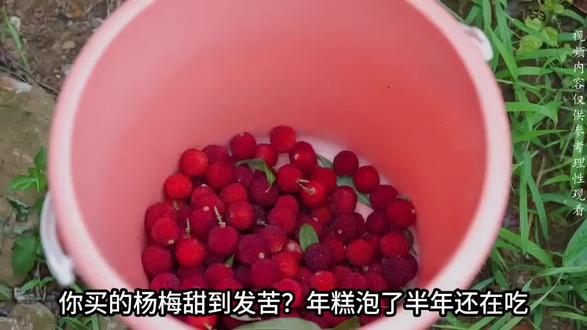 杨梅泡药水!年糕养半年?这些食品安全问题 该如何避坑? #汇融驿站CFC #热点 #民生 #关注我每天坚持分享知识 #食品安全@抖音热点
