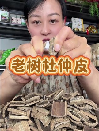 拉丝特别浓密的杜仲厚皮#老树杜仲皮