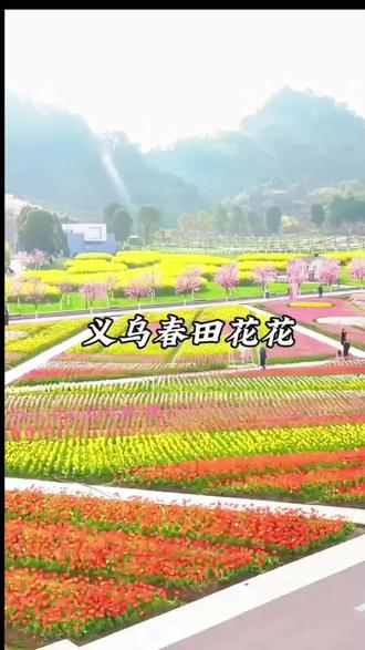 确定了!义乌春田花花3月20号正式开园#金华周边游 #义乌周边游 #义乌春田花花 #景区游玩攻略 #踏春赏花