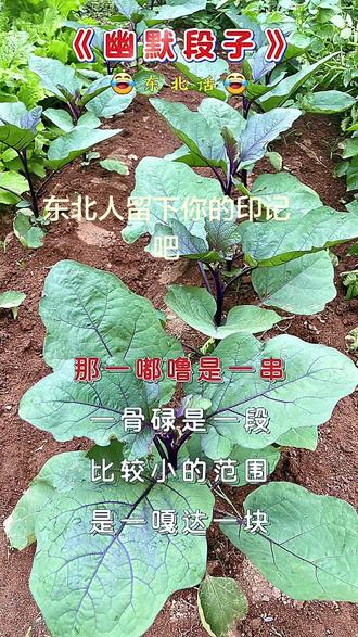 你们那儿的方言都咋喊的呀#农村老话俗语