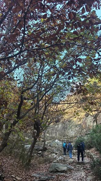 磁山白狐#白狐#磁山#原创视频 #爬到山顶看风景