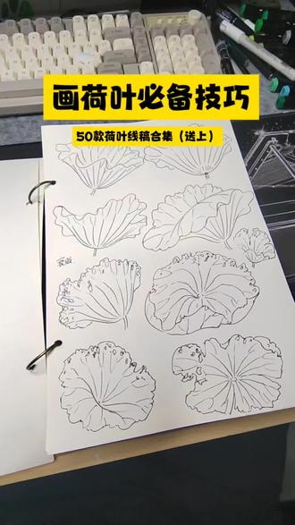 30秒夏天荷叶绘画三个小技巧教学,附赠50款荷叶线稿素材 #小学生手抄报#手抄报荷叶画法#手抄报插图技巧
#简笔画教学#手抄报线稿素材