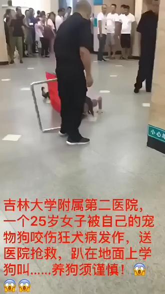 养猫狗的家人一定要注意,这些狂犬常识一定要了解!#养猫经验分享 #狂犬病 #养猫人 #新手养猫 #猫咪
