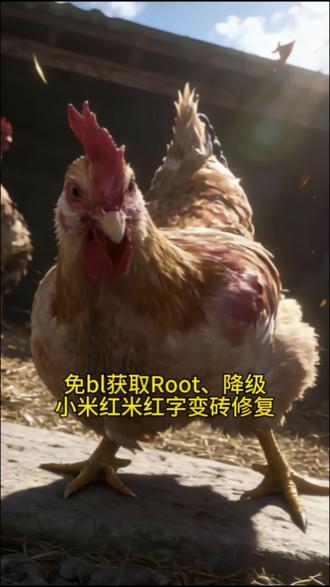 小米红米免bl内核root变砖红字修复。
红米k70,红米k70pro,小米14,小米14pro,小米15,小米15pro等#root #内核 #格机 #刷机