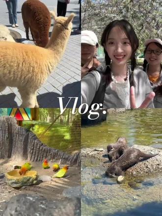 北野一日Vlog#北京野生动物园 #vlog日常