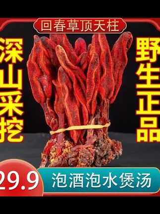 1【泰辉】顶天柱五味泡 手工精选当季新货650克#顶天柱五味泡