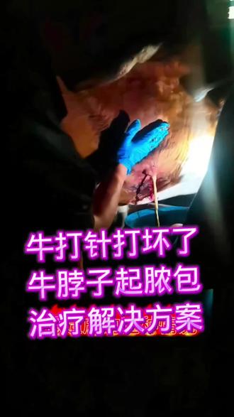 #所有养牛人#养牛技术和饲养方法 #牛病技术交流 #养牛人必看#三农养殖