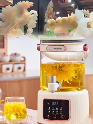 煮茶壶全自动多功能,炖煮壶家用烧水壶保温#厨房好物 #煮茶壶