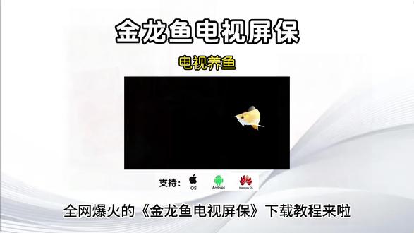 《竹叶宝藏》金龙鱼电视屏保设置教程来了,电视养鱼教程,金龙鱼动态壁纸下载,电视机屏保龙鱼教程,金龙鱼电视屏保设置方法,电视金龙鱼屏保去哪里下载设置 # 电视养鱼教程 # 电视屏保 # 电视屏保设置 # 金龙鱼屏保怎么设置 # 金龙鱼屏保怎么下载