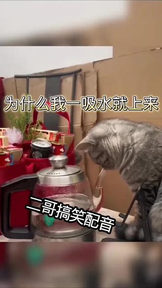 #搞笑视频 #搞笑配音 @梁也(二哥与长毛黄)搞笑配音