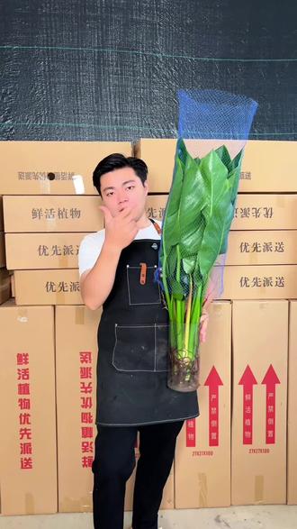 家里新房子装修的十几块钱,一定值得入手的大叶金钻,绿植基地批发价,买一送一到手10块钱左右
喜欢的宝贝点头像#绿植 #水培植物 #基地直发 #盆栽绿植 #花卉绿植