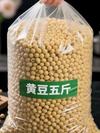 东北黑土地黄豆,真的绝❗️ 谁懂啊,东北黑土地的黄豆🍃! 日照足、水土肥,颗颗饱满圆润,自带阳光味🌞~ 磨浆浓醇,打豆浆香浓🥛农家自种的实在货,吃的就是原生态好滋味! 咱就说,这才是真正的东北宝藏豆,狠狠爱上了! #黄豆#五谷杂粮#东北黄豆#粗粮细作#图文伙伴计划