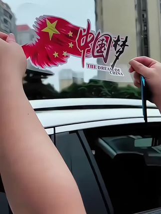 #车贴 #汽车装饰 #车贴拉花 #汽车用品 #美观实用