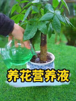 #农业种植 #抖音助农扶农