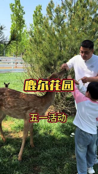 定州鹿尔花园 #定州鹿尔花园 #这个五一看我的鹿尔花园#鹿尔花园 #五一去哪儿 #遛娃好去处