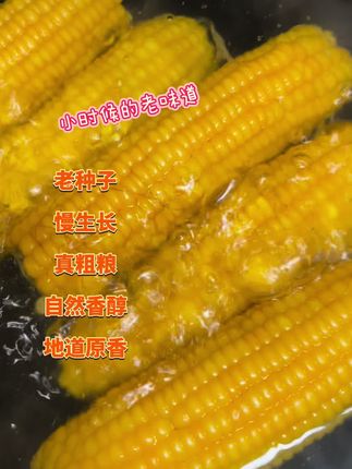 老式粗粮笨玉米#如果丰收有颜色#老式笨玉米#小时候的味道