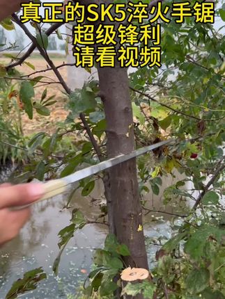 手锯家用园艺锯SK5便携式园艺果园专用#户外工具 #园林工具 #果园管理 #三农 #锯木头