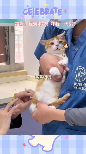 猫咪吓我一大跳!#声控猫怎么掉帧了 #猫咪打针 #吓我一跳 #猫咪迷惑行为 #橘猫