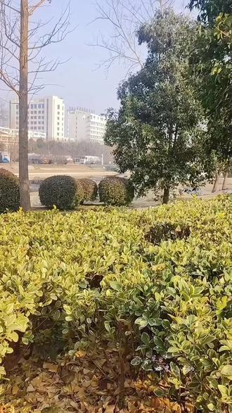 碳素直条钢丝 #我的乡村生活 #分享生活小技巧 #农村养殖 #成品碳素直条钢丝 @DOU+上热门 @DOU+小助手 @巨量千川