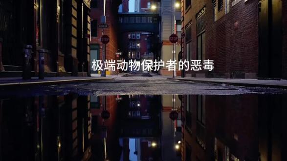 极端动物保护者的恶毒 #宠物经济#正能量#以人为本
