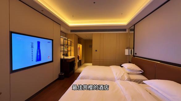 这是不是来无锡赏樱花的最佳酒店?#无锡君来湖滨饭店 #樱花 #无锡 #遛娃好去处