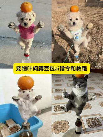 宠物叶问蹲ai指令和教程来了 宠物叶问蹲豆包ai指令 宠物叶问蹲豆包指令ai教程 宠物叶问蹲豆包ai指令制作教程 仓鼠叶问蹲ai指令 仓鼠叶问蹲豆包ai指令 仓鼠叶问蹲豆包指令ai教程 狗狗叶问蹲ai指令 狗狗叶问蹲ai指令豆包教程 狗狗叶问蹲豆包ai指令制作教程 小猫叶问蹲豆包ai指令 小猫叶问蹲ai指令豆包教程 小猫叶问蹲ai指令 猫猫叶问蹲ai指令 猫咪叶问蹲ai指令#豆包ai#豆包P图已经nextlevel了 #仓鼠 #养猫人 #养狗人