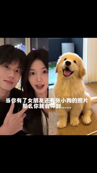 和狗狗一起拍的全家福ai图片指令教程来啦#全家福不能没有狗狗 #豆包ai#豆包P图已经nextlevel了 #一家三口 情侣和狗子ai合照 情侣和狗子合照ai指令 宠物合照