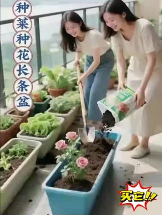 特大号长条种菜盆,阳台秒变小菜园 这款阳台专用塑料种菜盆,长条简约设计,特大容量能种多颗青菜、番茄、生菜,不占空间还规整。材质耐用抗晒,浇水不易裂,底部透气孔设计,疏水不烂根。家用种菜、种香草超合适,新手也能轻松打造阳台种植角! #阳台种菜盆推荐 #特大号长条花盆 #家用耐用种菜盆 #简约塑料花盆 #新手种植必备盆