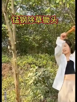 家人们看过来!这款锰钢锄头真的太实用了~硬度在线的锰钢材质,刃口锋利又耐磨,地里的杂草、野菜一锄就断,用着省劲儿还顺手。不管是菜园子打理,还是田间除草,拿在手里轻重刚好,干活效率都能提不少。用过的都知道,这种结实的工具能用好多年,趁现在有活动,备一把在家准没错~#园林工具 #高性能实用工具 #农用工具 #锄草锄头 #强烈推荐