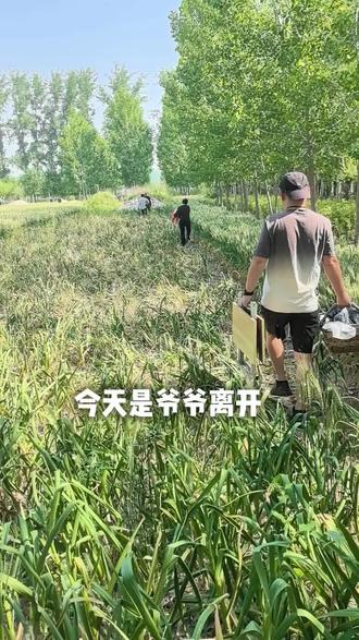 真正的告别不是忘记,而是带着他给我们的爱和勇气,继续好好地生活下去。