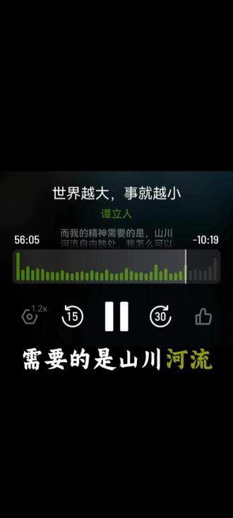 NO.13 我怎么可以忙碌一生,只为一副终将衰老的躯体,而从未珍惜与我相伴致死的灵魂#播客 #活在热爱里