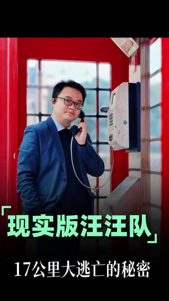 不愧是现实版汪汪队!17公里逃亡背后的秘密#七只狗被偷掉落高速结伴逃亡#长春高速#狗狗#流浪狗#毛孩子#汪汪队