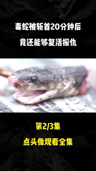 点击头像主页看全集!